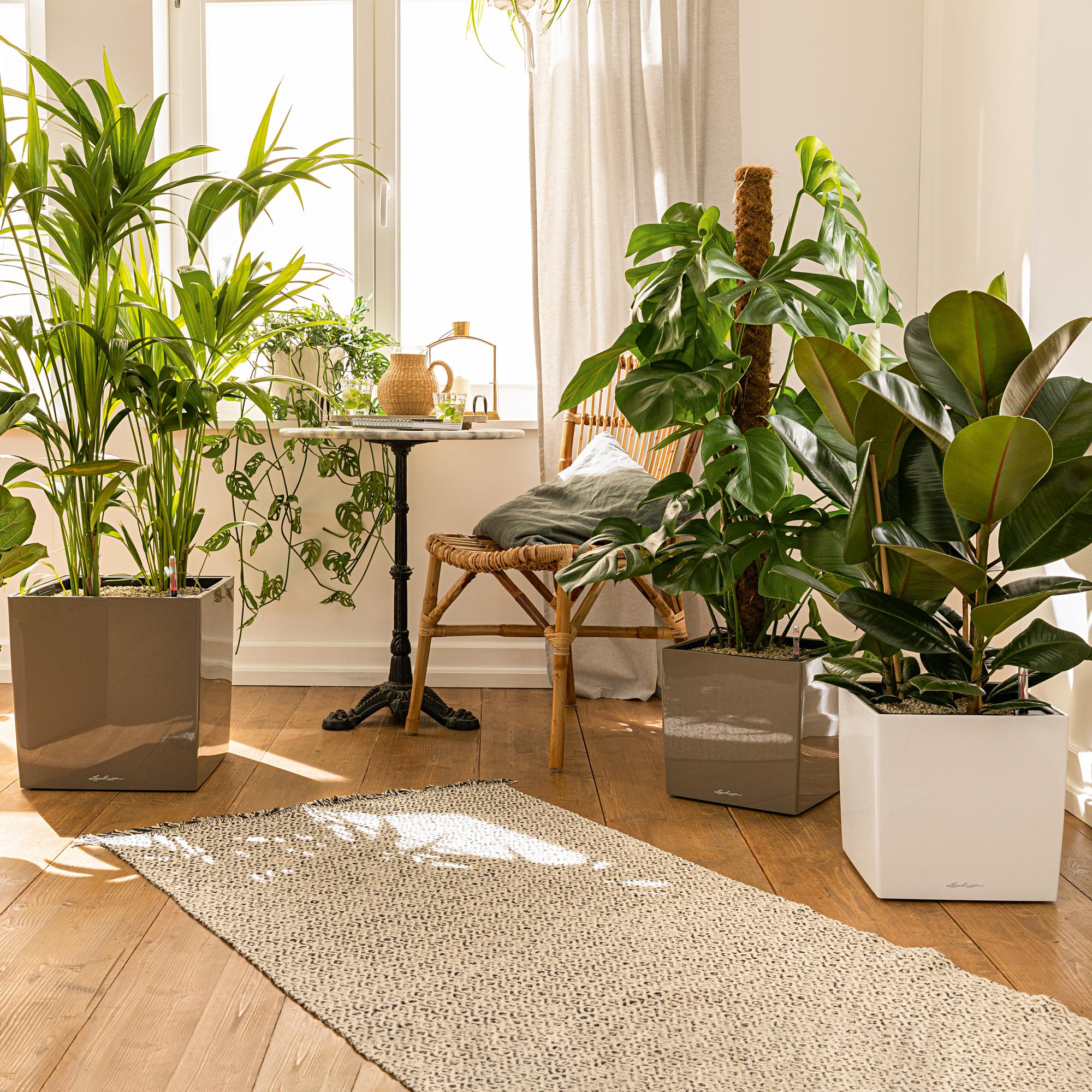 le_cube_product_addi_03